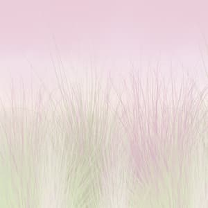Glade