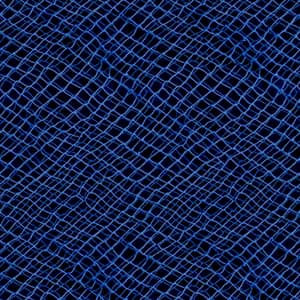 Net