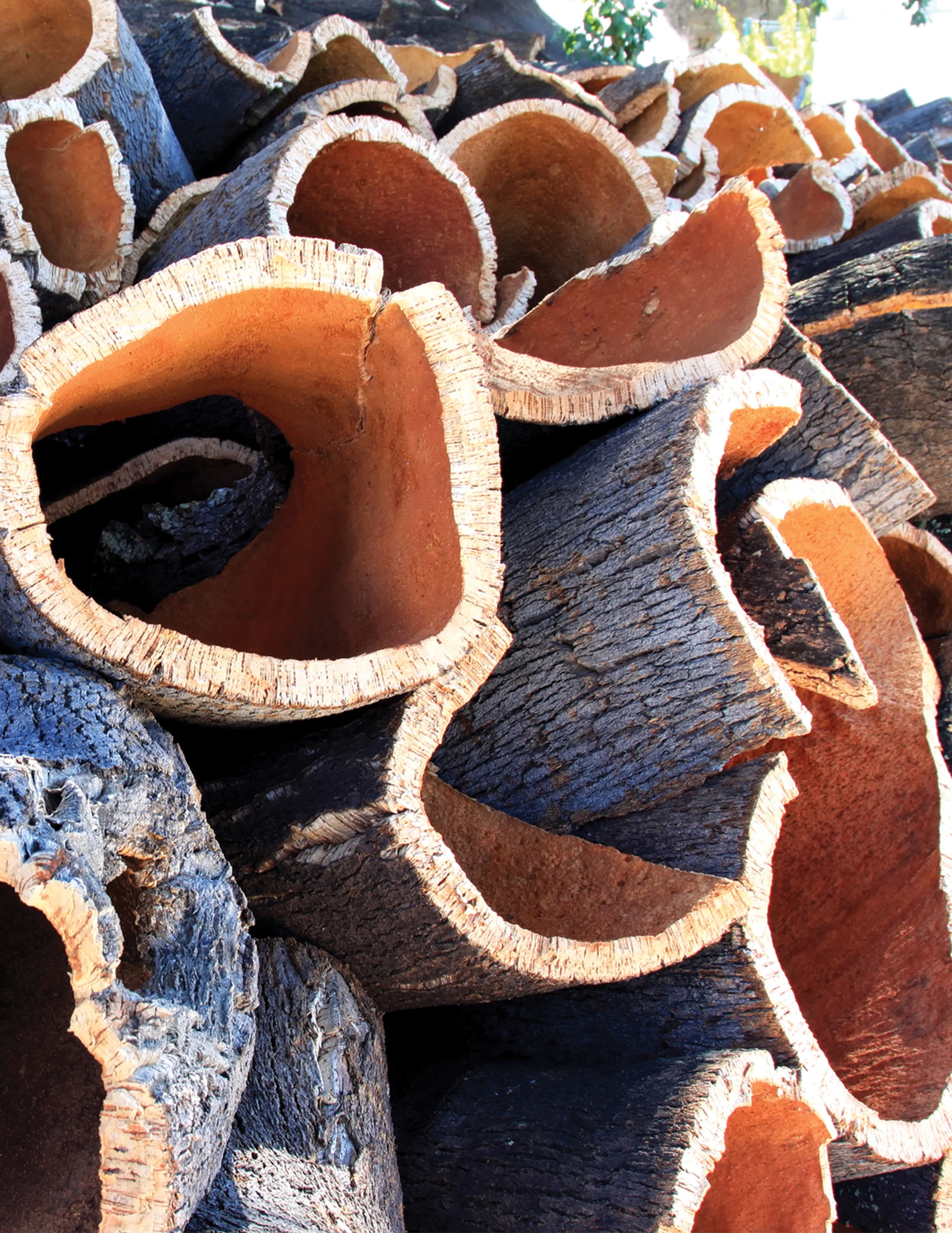 Cork inspiration