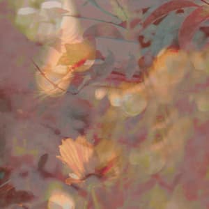Gossamer