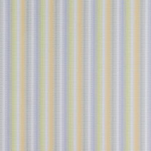 Stripe Zone